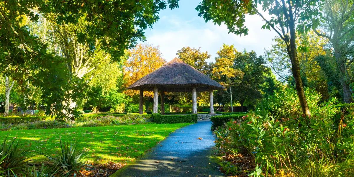 Explore Adare with an Experienced Local Guide
