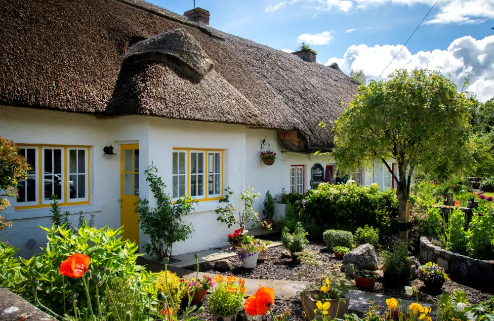 Adare Village