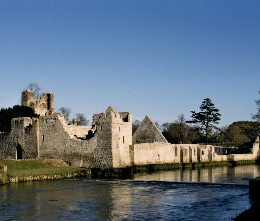 Desmond Castle