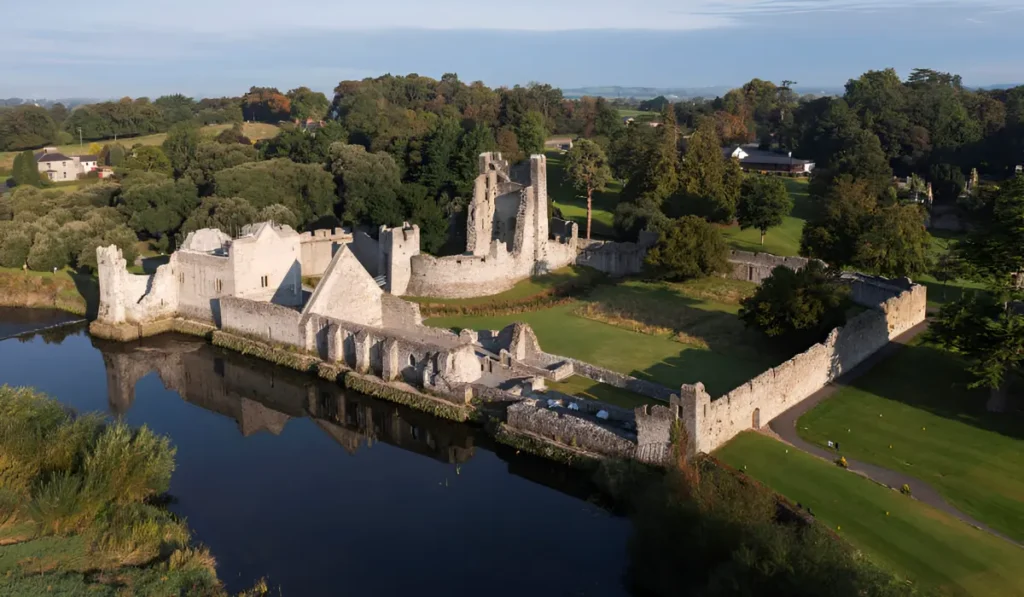 Desmond Castle