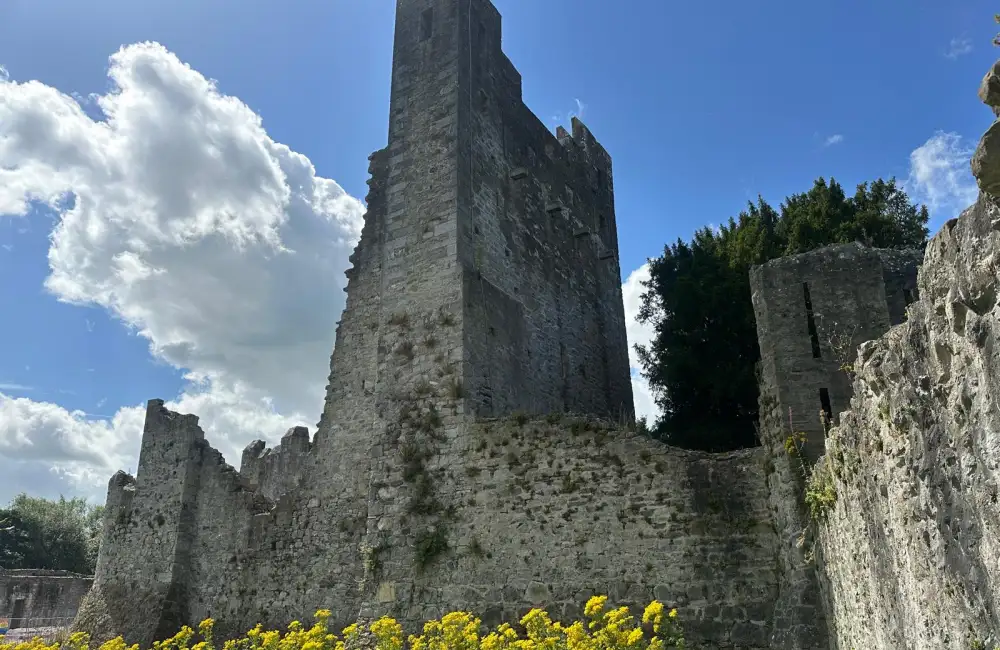 Desmond Castle