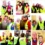 Team Limerick Clean Up 2016